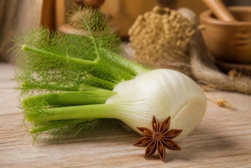 découvrez les bienfaits carminatifs du fenouil et de l'anis pour soulager les troubles digestifs et favoriser le confort intestinal.