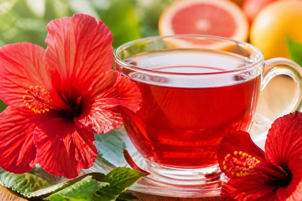 découvrez l'hibiscus, une tisane aux notes acidulées, idéale pour rafraîchir et revitaliser votre journée.